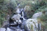 IMG_0020