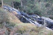 IMG_0024