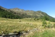 IMG_0035