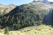 IMG_0041