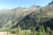 IMG_0047
