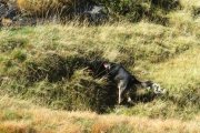 IMG_0054
