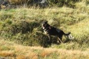 IMG_0056