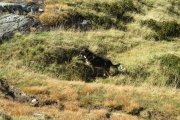 IMG_0057