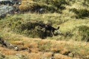 IMG_0058