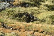 IMG_0059