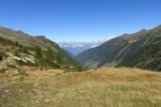 IMG_0063