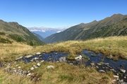 IMG_0067