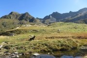 IMG_0070