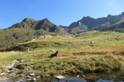 IMG_0071