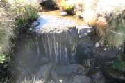 IMG_0080