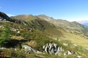 IMG_0101