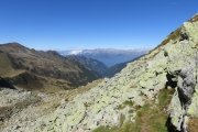 IMG_0160