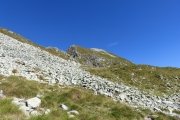 IMG_0170