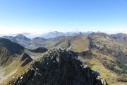IMG_0194