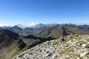 IMG_0210
