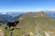IMG_0215