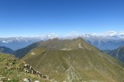 IMG_0230