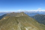 IMG_0318