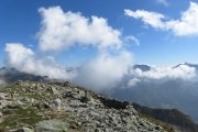 IMG_0334