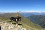 IMG_0355