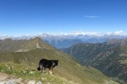 IMG_0357