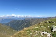 IMG_0381