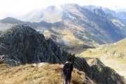 IMG_0388