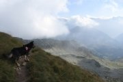 IMG_0395