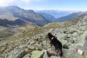 IMG_0397