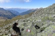 IMG_0401