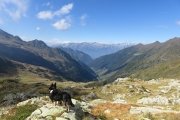 IMG_0417