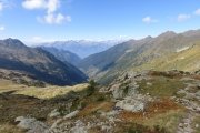 IMG_0421