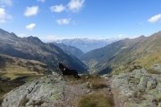IMG_0424