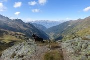 IMG_0425