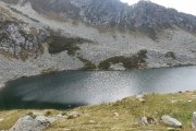 IMG_0429