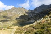 IMG_0439