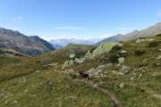 IMG_0446