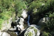 IMG_0450