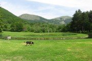 IMG_0004