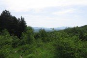 IMG_0006