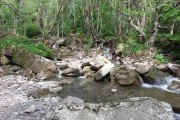 IMG_0008