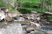 IMG_0009