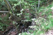 IMG_0012