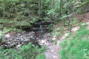 IMG_0014