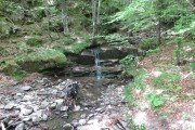 IMG_0018