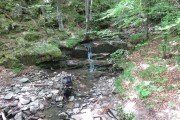 IMG_0019
