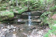 IMG_0021