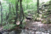 IMG_0022