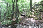 IMG_0023
